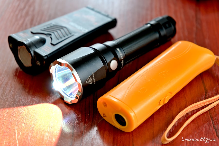 Как защититься от нападения собаки Как защититься от нападения собаки