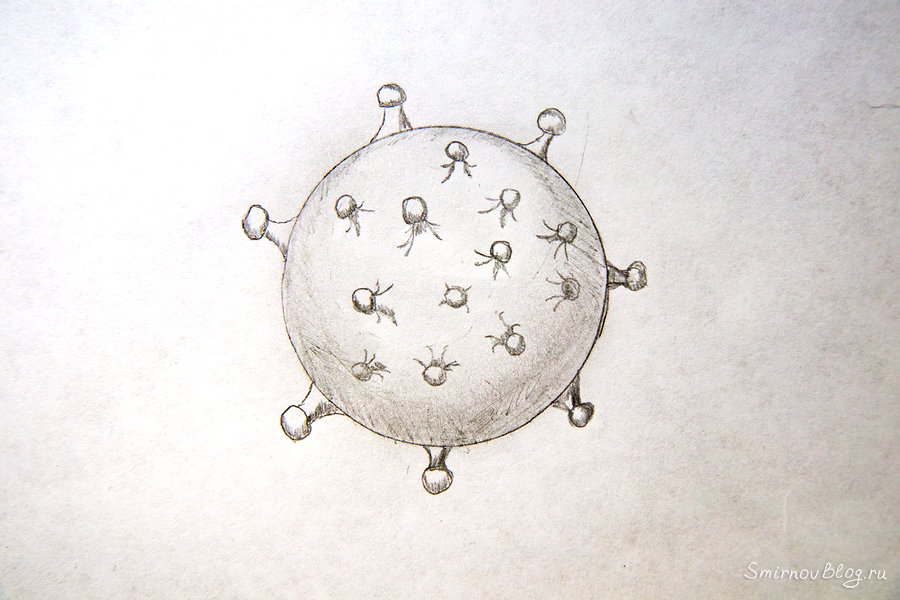 Ковид пришел и в наш дом