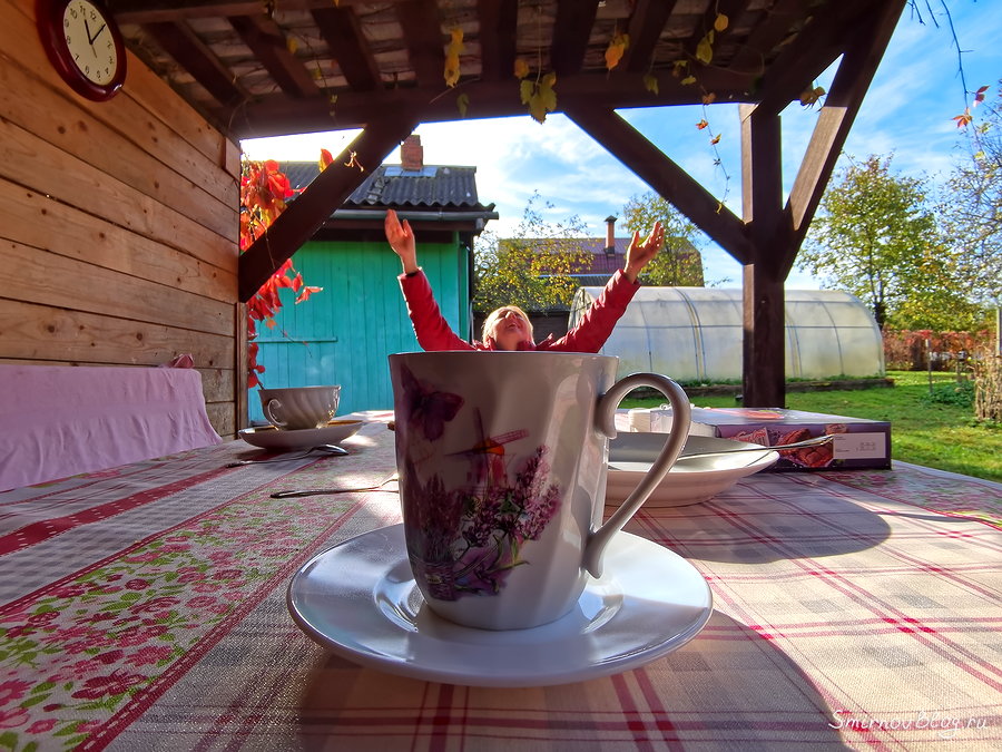 Ковид пришел и в наш дом