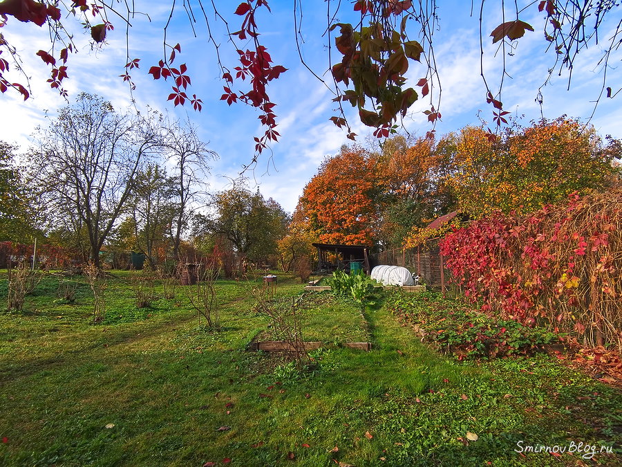 Ковид пришел и в наш дом