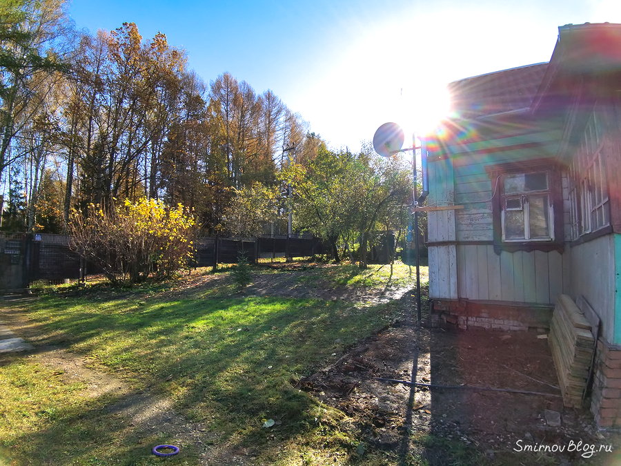 Как мы проводим самоизоляцию по ковиду