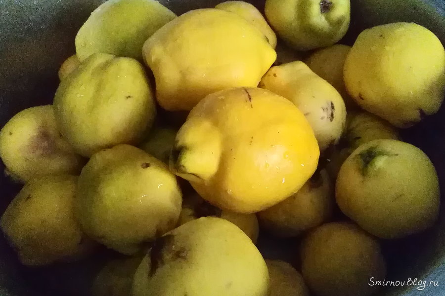 Вкусное айвовое варенье. Пошаговый рецепт