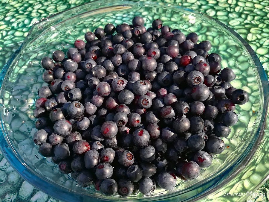 Варенье пятиминутка из черники