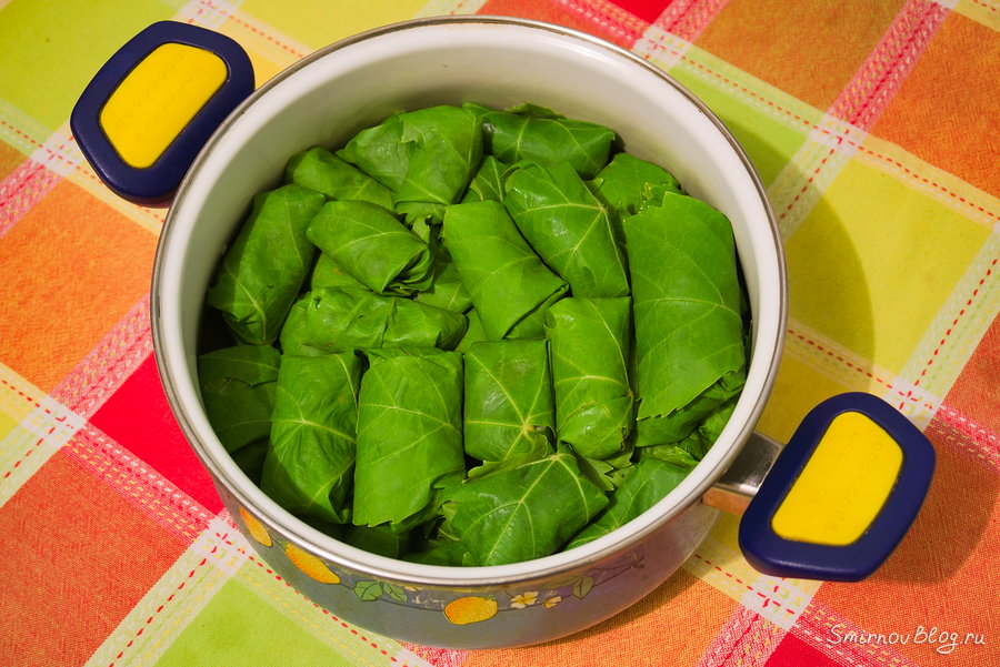 Рецепт вкусной долмы