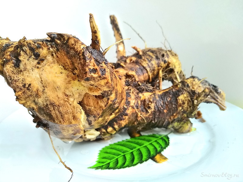 Как натереть хрен без слез