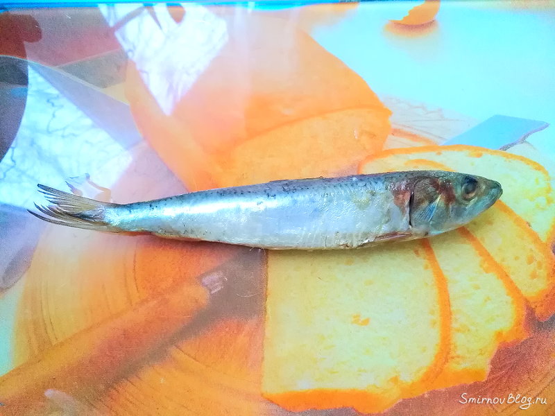 Иваси под шубой. Рецепт