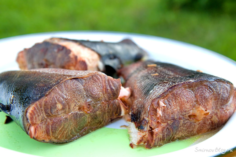 Как коптить рыбу на мангале в коптильне?