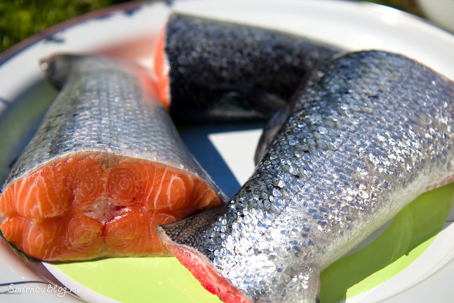 Как коптить рыбу на мангале в коптильне?