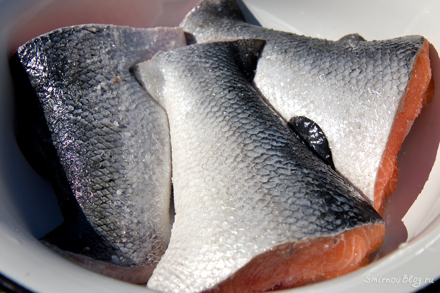 Как коптить рыбу на мангале в коптильне?