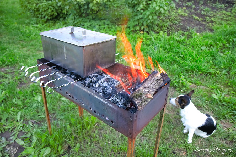 Как коптить рыбу на мангале в коптильне?