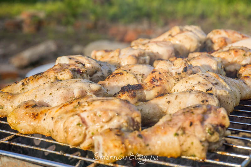 Какое мясо для шашлыка выбрать