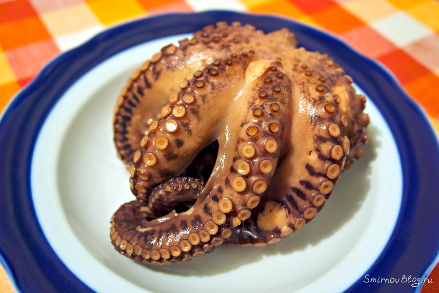 Мягкий и сочный жареный осьминог. Рецепт Мягкий и сочный жареный осьминог. Рецепт