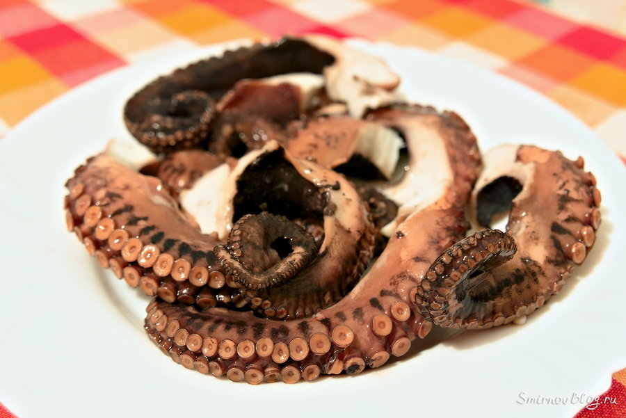 Мягкий и сочный жареный осьминог. Рецепт Мягкий и сочный жареный осьминог. Рецепт