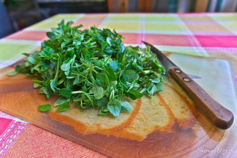 Соус  «Песто» наш рецепт