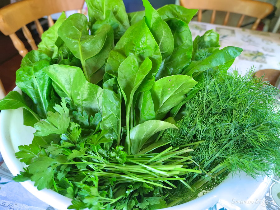 Рулет со шпинатом и сыром