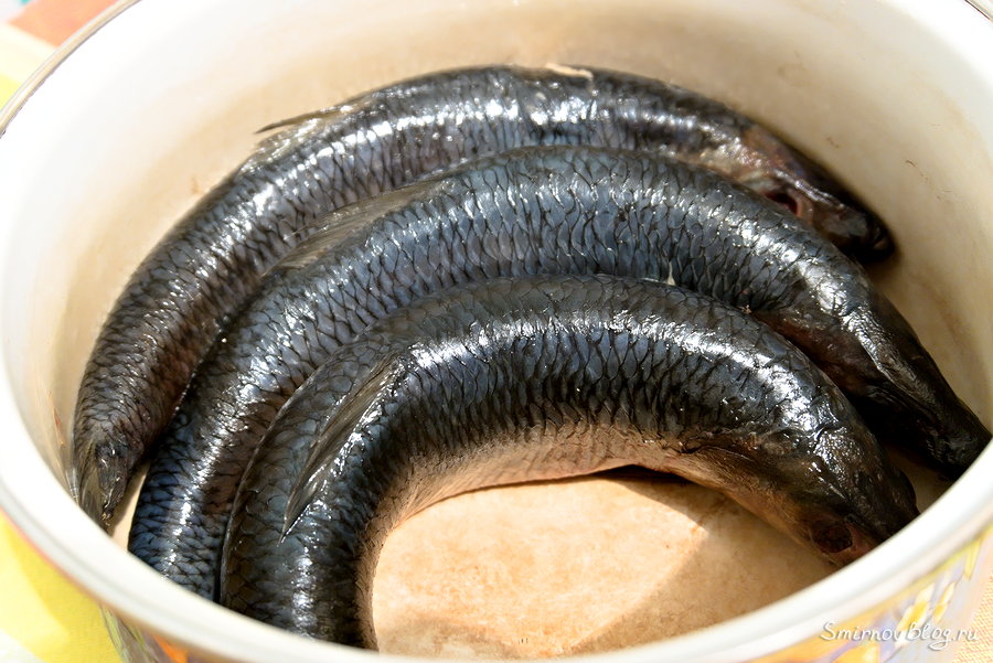 Как солить селёдку быстро и вкусно. Рецепт Как солить селёдку быстро и вкусно. Рецепт