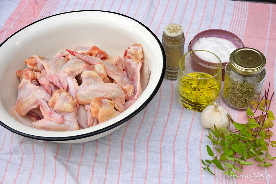 Шашлык из куриных крыльев. Рецепт Шашлык из куриных крыльев. Рецепт