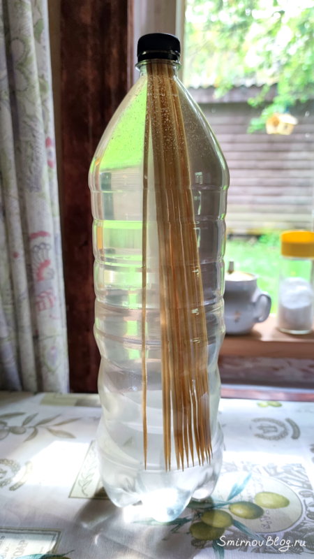 Замочить шпажки для шашлыка в воде