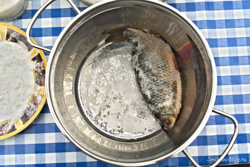 Как приготовить воблу или рецепт вяленой рыбы Как приготовить воблу или рецепт вяленой рыбы