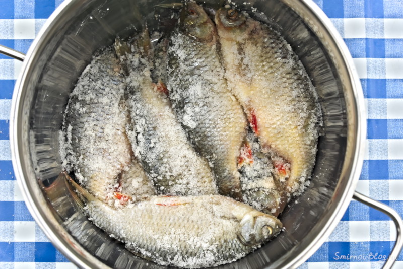 Как приготовить воблу или рецепт вяленой рыбы Как приготовить воблу или рецепт вяленой рыбы