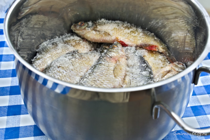 Как приготовить воблу или рецепт вяленой рыбы Как приготовить воблу или рецепт вяленой рыбы