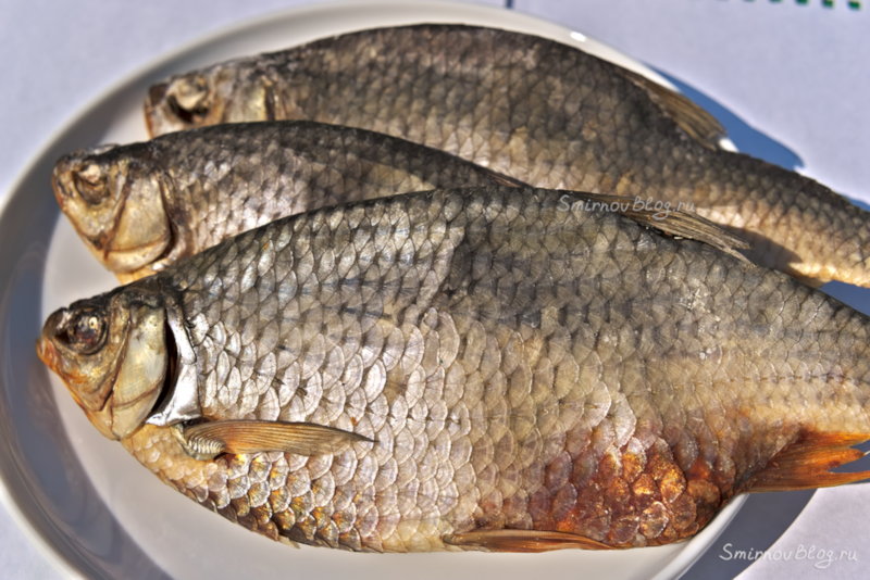 Как приготовить воблу или рецепт вяленой рыбы Как приготовить воблу или рецепт вяленой рыбы