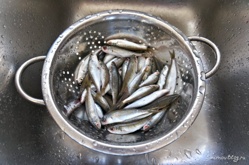 Жареная хамса или маленькие жареные рыбки. Рецепт