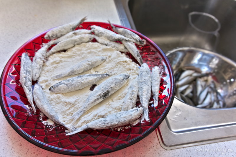 Жареная хамса или просто маленькие жареные рыбки