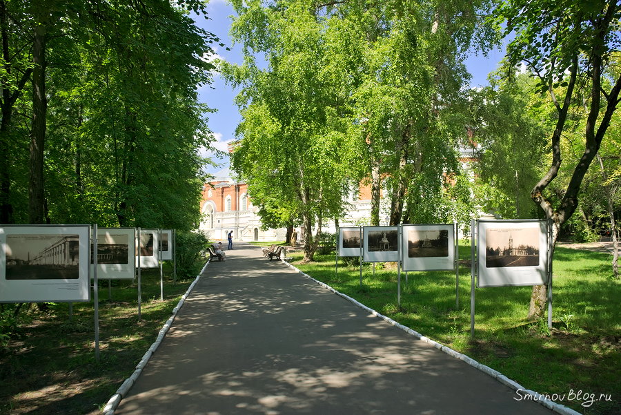 Аллея перед Георгиевским собором. Владимирская обл., г. Гусь-Хрустальный