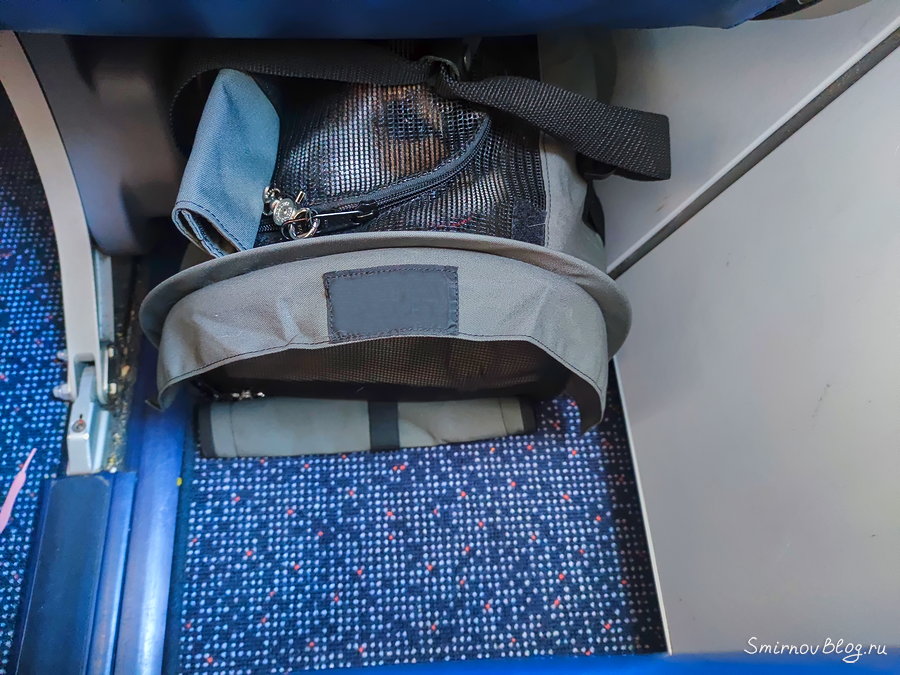 Путешествие с собакой. Провоз собаки в самолете в мягкой переноске Путешествие с собакой. Провоз собаки в самолете в мягкой переноске