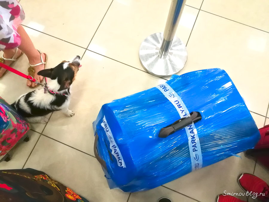 Парковки в московских аэропортах (где оставить машину в аэропорту)