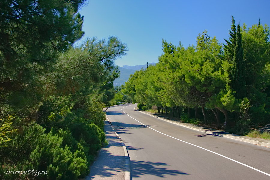 шоссе Дражинского, г. Ялта шоссе Дражинского, г. Ялта