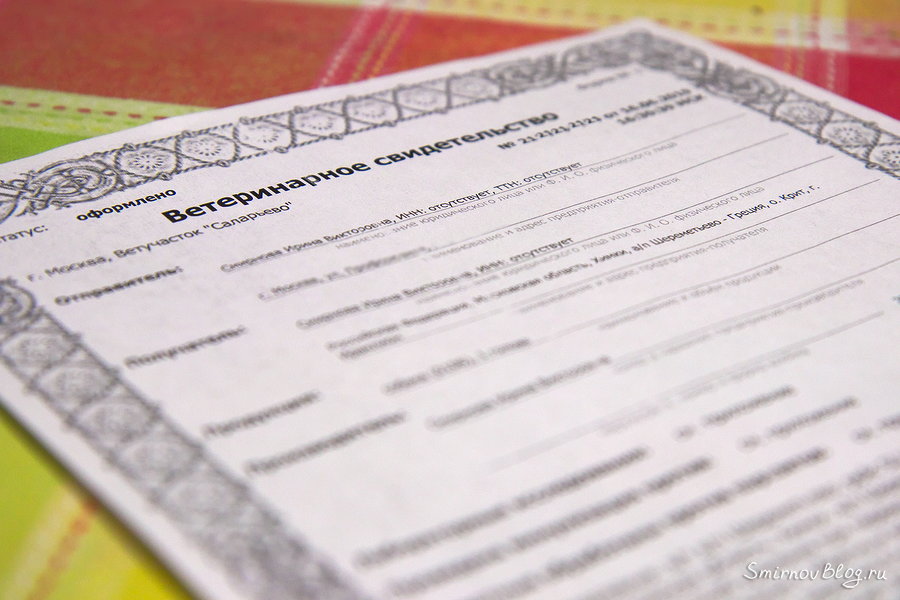  Ветеринарное свидетельство формы №1 на выезд собаки за рубеж