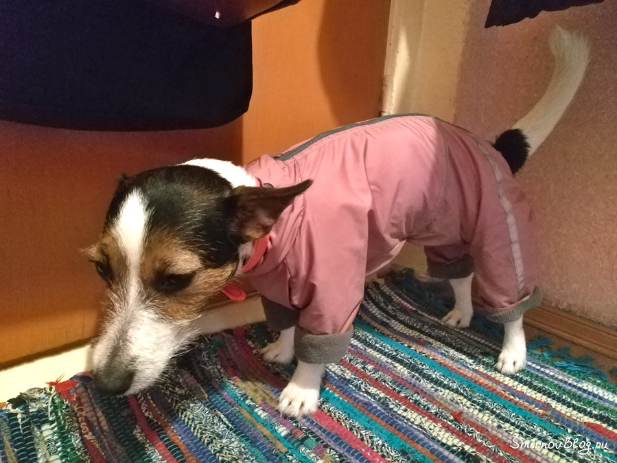 Актриса Актриса