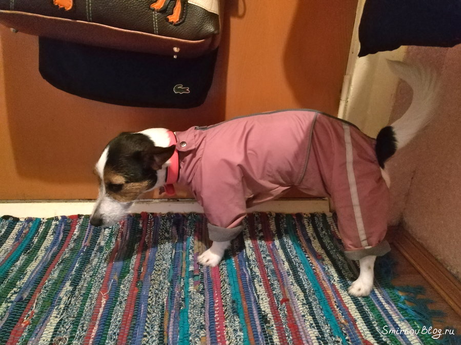 Актриса Актриса