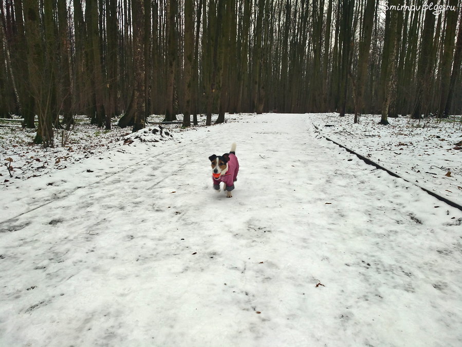 Актриса Актриса