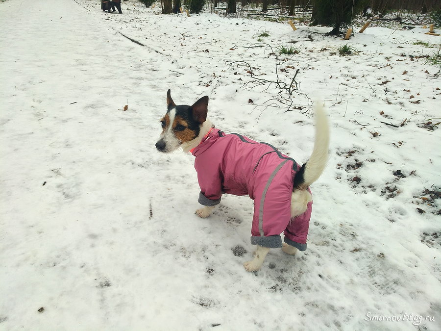 Актриса Актриса