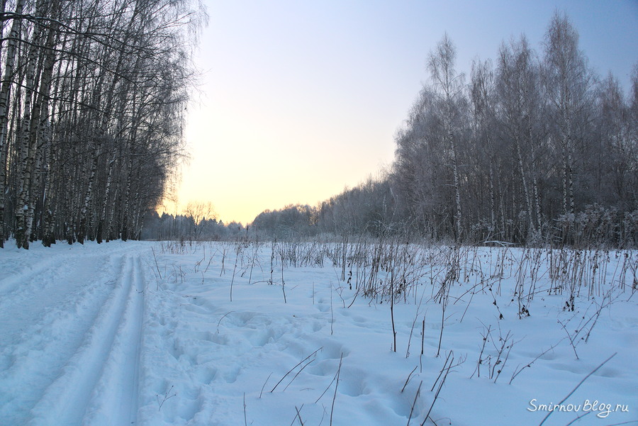Арктические морозы в Москве. Декабрь 2018. Битцевский лес