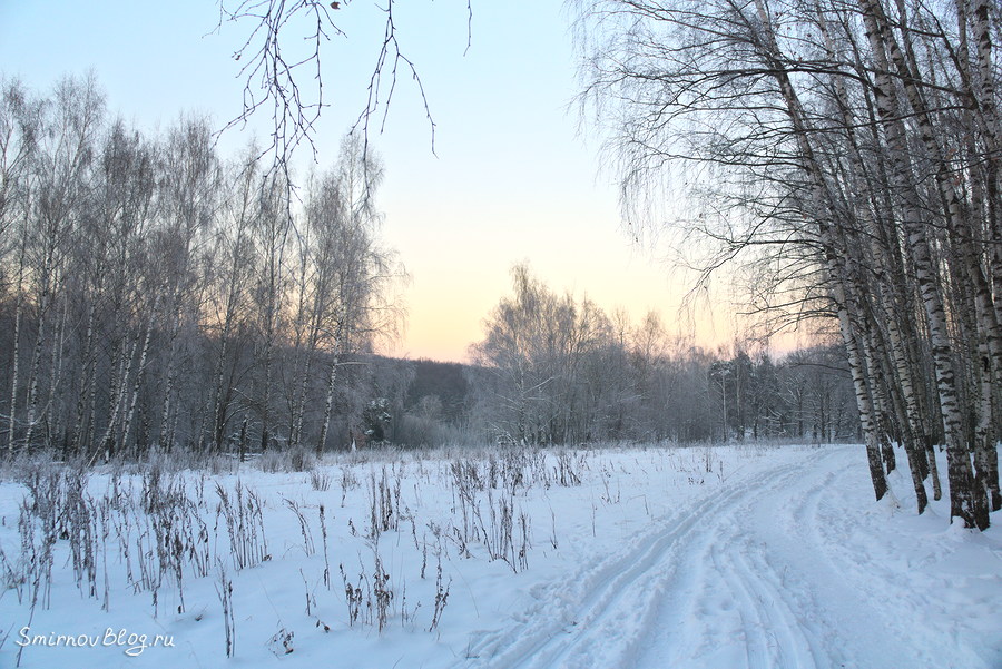 Арктические морозы в Москве. Декабрь 2018. Битцевский лес