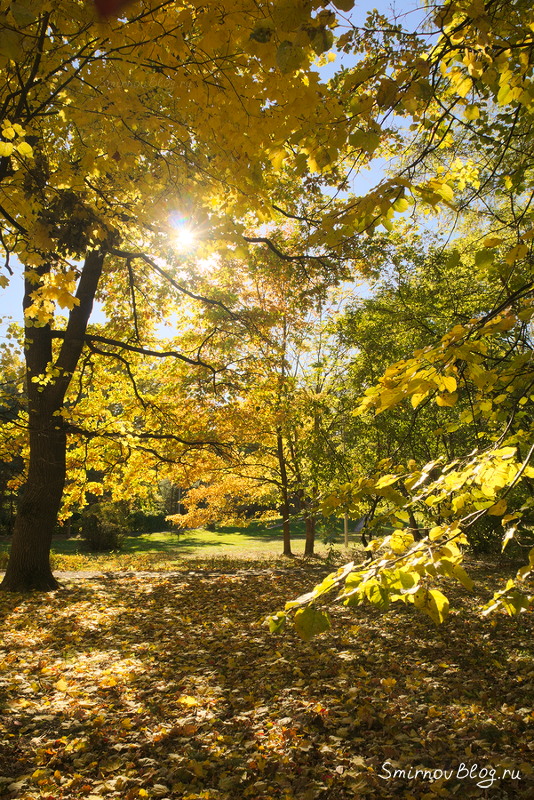 Бабье лето в Москве. Октябрь 2018