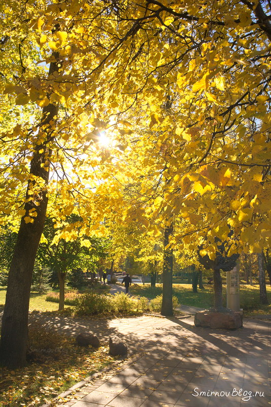 Осенняя Москва. Парк ''Усадьба Трубецких в Хамовниках''. Октябрь 2018