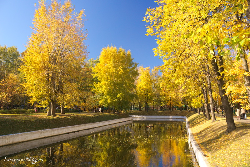 Осенняя Москва. Парк ''Усадьба Трубецких в Хамовниках''. Октябрь 2018