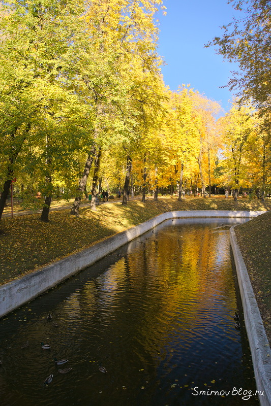 Осенняя Москва 2018. Парк ''Усадьба Трубецких в Хамовниках''