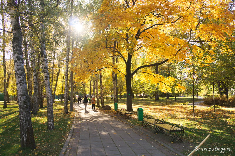 Бабье лето в Москве. Парк ''Усадьба Трубецких в Хамовниках''. Октябрь 2018