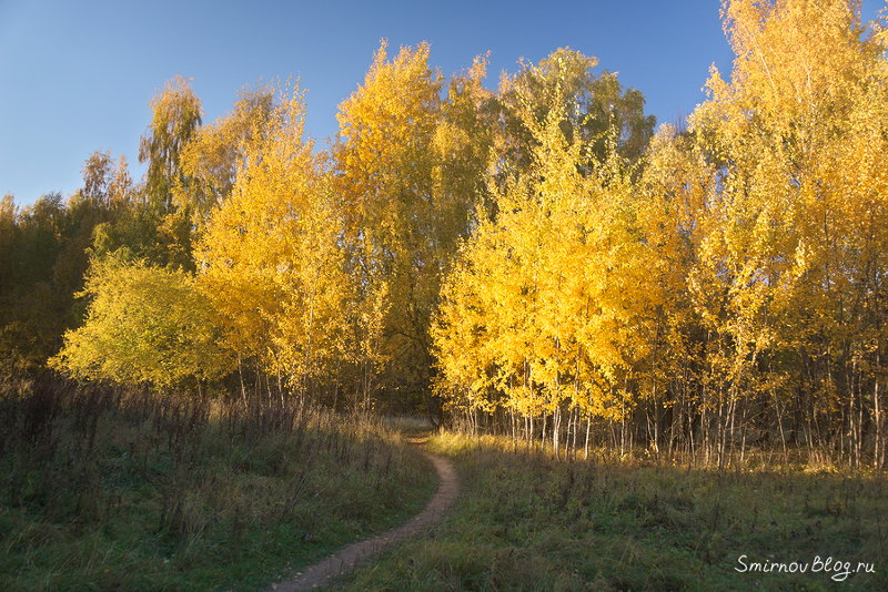 Бабье лето в Москве. Октябрь 2018