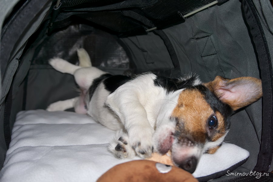 Чемоданное настроение Чемоданное настроение