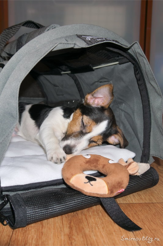 Чемоданное настроение Чемоданное настроение