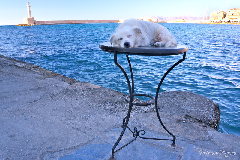 Живой талисман города Ханья