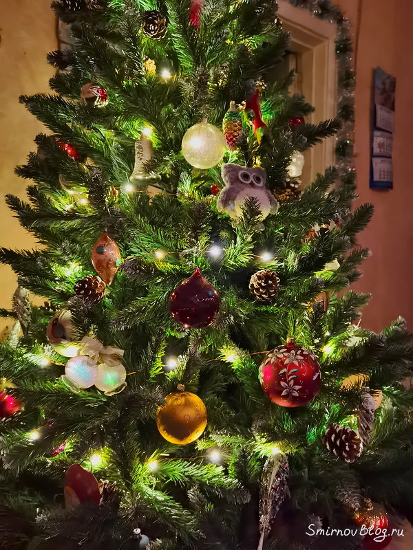 Раз, два, три, ёлочка гори!