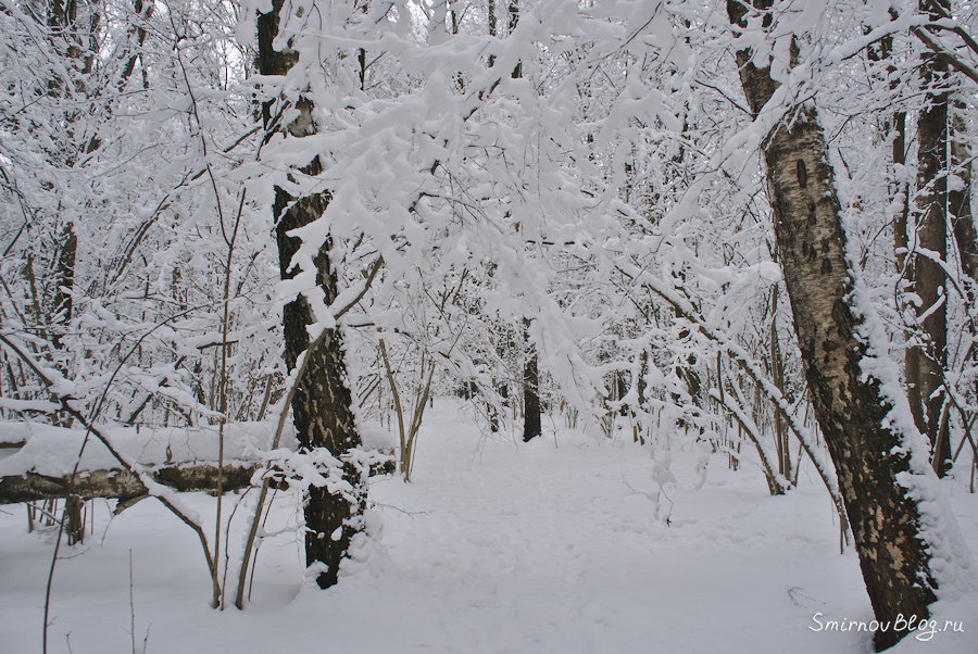 Хочется снега Хочется снега